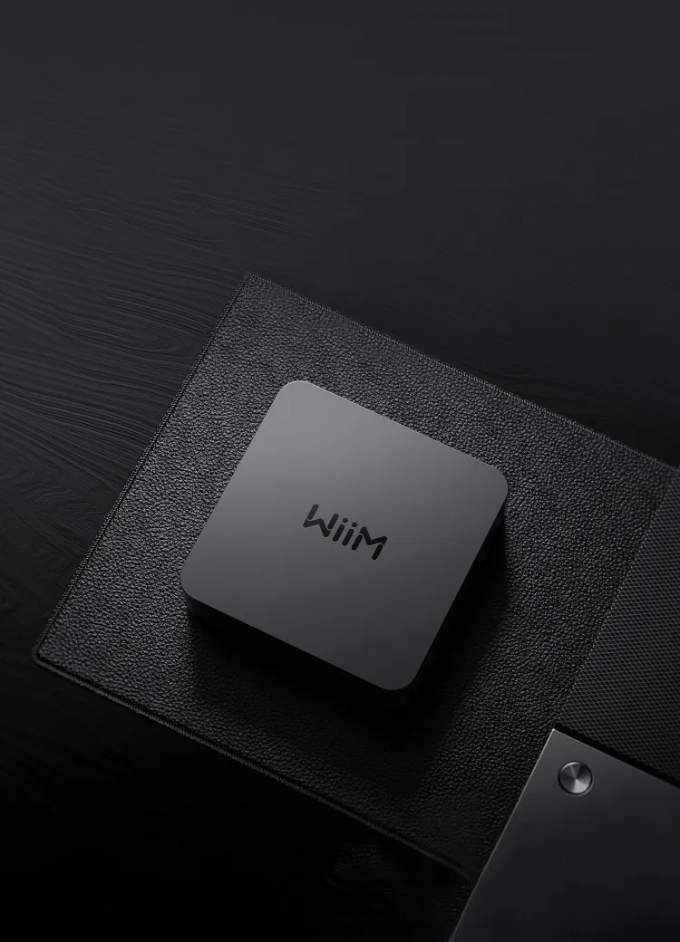 Streamer WiiM Pro Plus sur un plateau en cuir noir